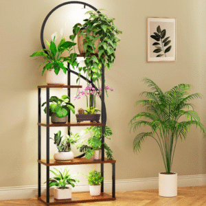 The Lunara Halo Stand